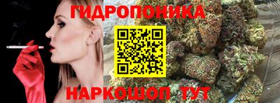 соль ск Кулебаки