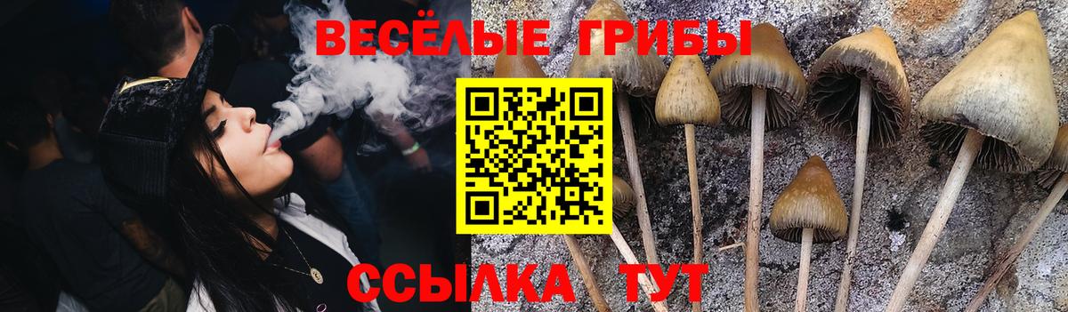 Псилоцибиновые грибы Psilocybine cubensis  Вход с VPN  Гагарин  Псилоцибиновые грибы Cubensis 